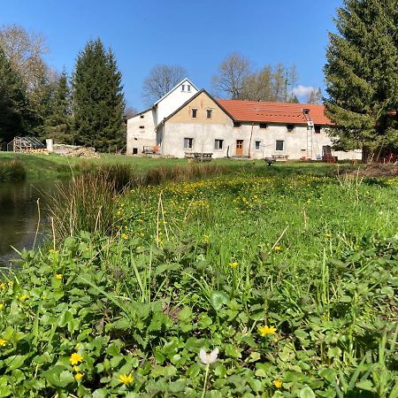 Na Mlejne Apartment Telč Екстериор снимка